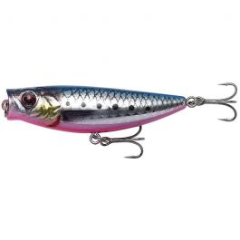 pink-belly-sardine-z-5379-537995.jpeg